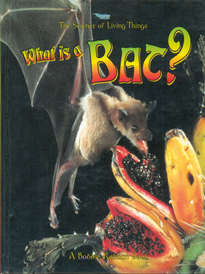 cover image of What is a Bat?